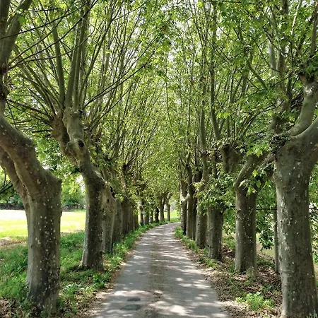 Torre De Codinac בית נופש