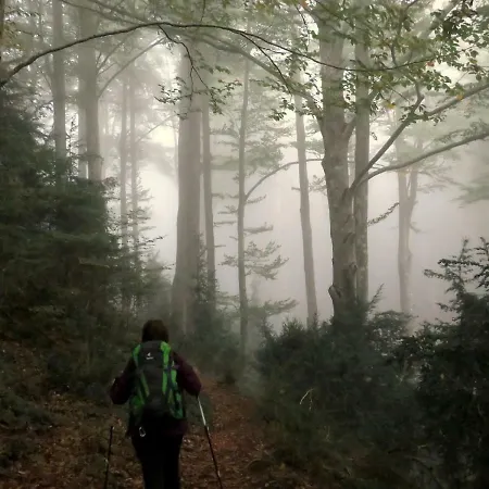 בית נופש Torre De Codinac San Pedro de Torelló